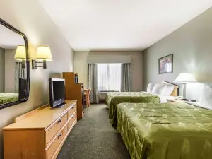 Quality Inn & Suites Pearl-Jackson