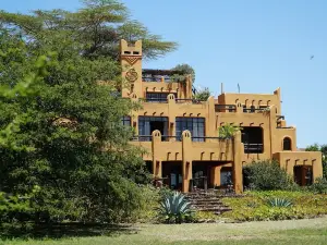 아프리칸 헤리티지 하우스