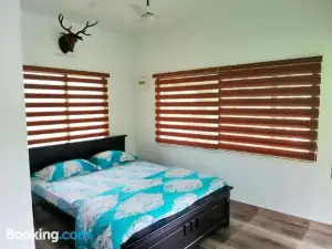 Noah's Nest Tree House