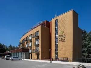 Fagus Hotel Conference & Spa Superior