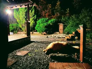 Tiny House, Wifi,Hot Tub,Secluded