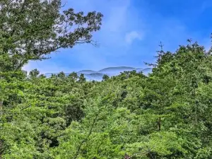 Peak-a-Blue Cabin: Mountain View/Outdoor Movie Theatre/Hot Tub/Garage
