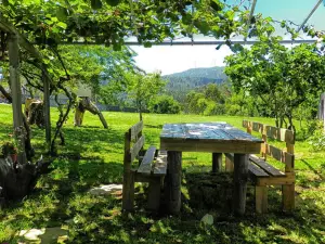 A Casa do Folgo Turismo Rural
