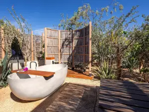 El Perdido Desert Dream