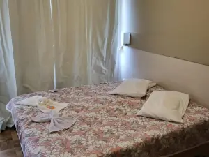 Vicz Palace Hotel