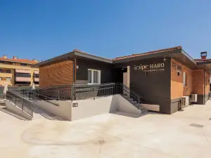 イライペ ハロ オート チェックイン