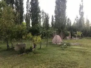 Maju