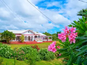 Sunny Palm Villas