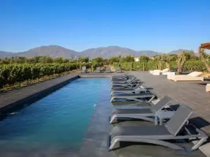 Vibo Wine Lodge at Viu Manent