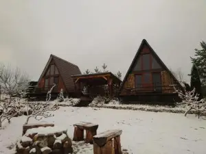 Razele Trascaului