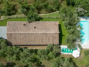 PRIVATE POOL - FARMHOUSE FATTORIA LA PIEVE-VILLA FICO from Pisa
