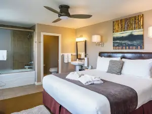 Bird Rock Hotel