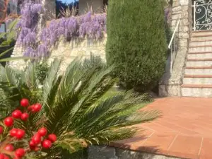 B&B Fior di Toscana