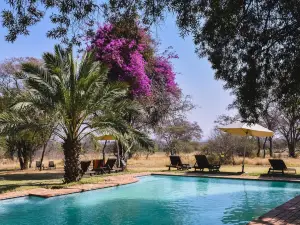 Mziki Safari Lodge