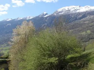 Cò d'Franz - PT