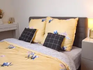 Apartment with Free Parking in Prague