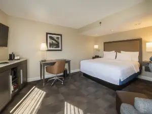 卡爾斯塔特歡朋酒店-梅多蘭茲