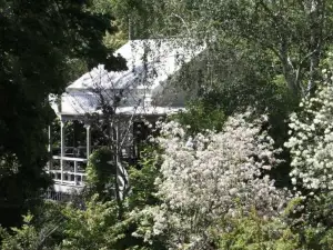 Foxglove Gardens