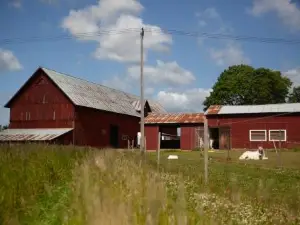 Glamping in Småland