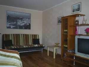 Apartment on Proviantskaya