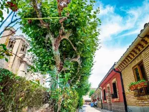 La Casa de la Abuela