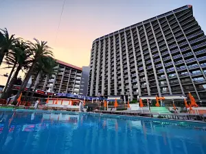 Marina Resort Benidorm - the Original Benidorm Vibe