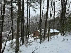Wonderful Cabin Tucked in the Woods /w Hot Tub