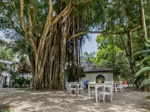 Hotel Restaurante Selva Negra