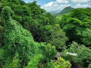 階梯住宿加早餐旅館
