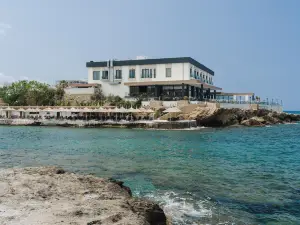 Shayna Beach Club