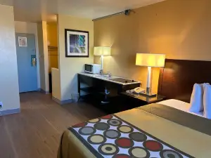 Studio Apartments