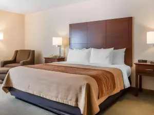 Comfort Inn Salida