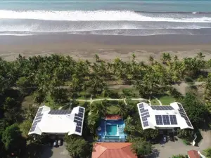 Cocomar Beachfront Hotel and Island Resort