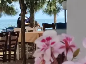 Look to the Sea Nea Karvali
