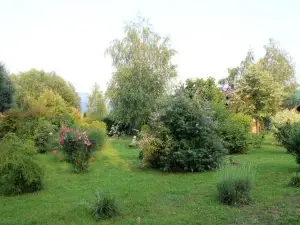Una Green Garden Residence