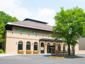 호텔 플로라시온 나스