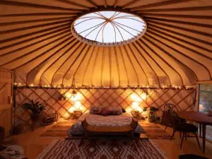 Luxury Yurt Glamping at Littlegrove