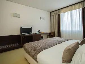 Safir Hotel Casino