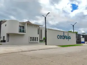 Cedrela