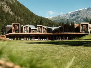 Aethos Monterosa