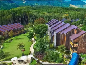 Hotel Sierra Resort Hakuba