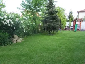 Aliz Apartman