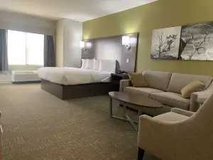 Best Western Plus Horseheads Inn  Suites