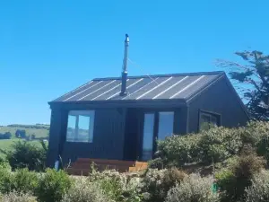 Akaroa Lavender