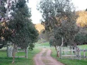 Hillview, Halls on Falls Homestead