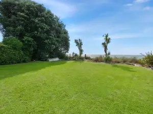 Paradise in Parapara - Paraparadise