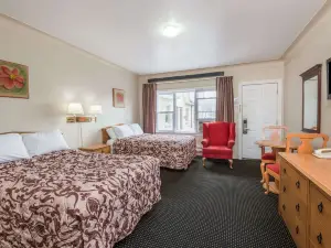 Knights Inn London Ontario