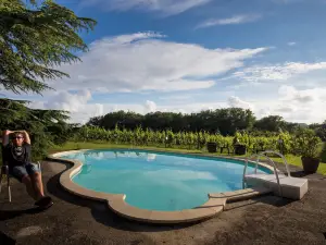 Vandenbeld Wines B&B