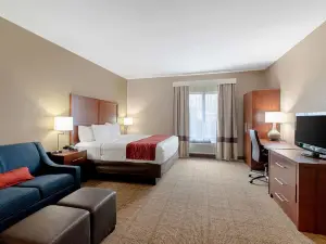 Comfort Inn and Suites Fredericksburg