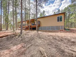 Black Hills Vacation Lodge New Home-Just Opened!